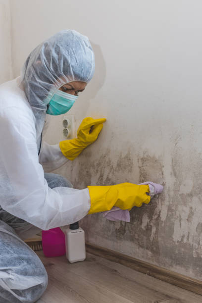 Best Mold-Related Health Consultation  in Lake Hamilton, FL