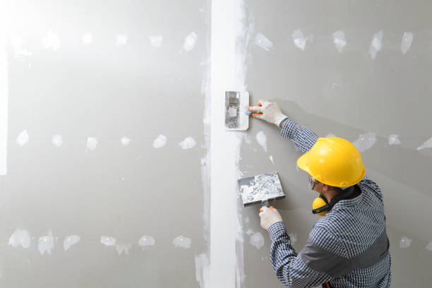 Best Post-Construction Mold Inspection  in Lake Hamilton, FL