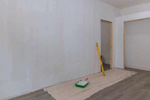 Best Attic Mold Removal  in Lake Hamilton, FL