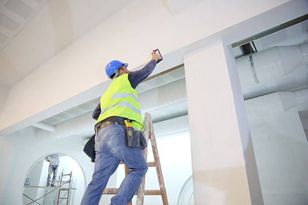 Lake Hamilton, FL Mold Removal Company